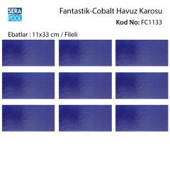 Fantastic Cobalt (11x33 cm / Fileli) Porselen Karo - m² 'si