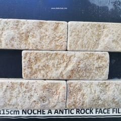 5X15 Noche Antic Rock face Filesiz