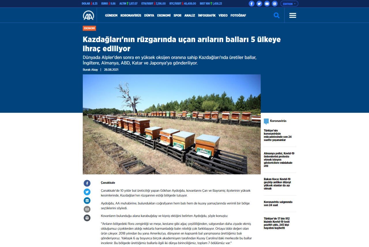 Basında Biz
