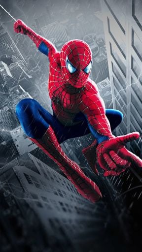 Spiderman Temalı Doğum Günü Konsepti