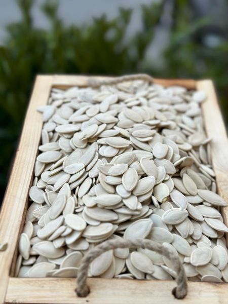 BEYAZ TUZLU KABAK ÇEKİRDEĞİ 1000 GR