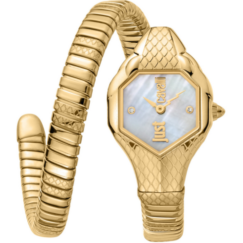 Just Cavalli JC1L190M0035 Kadın Kol Saati