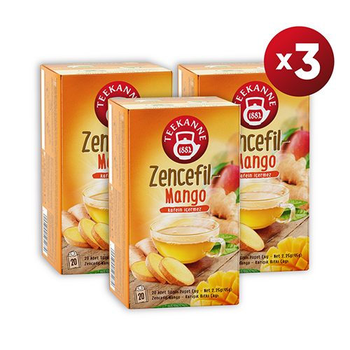 Teekanne Zencefil - Mango Karışık Bitki Çayı
