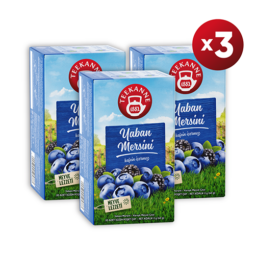 TEEKANNE YABAN MERSINI KARISIK MEYVE ÇAYI - 40 G X3 ADET