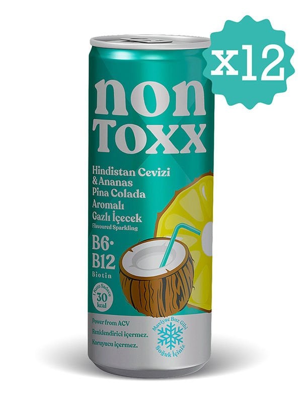Nontoxx Hindistan Cevizi & Ananas Aromalı, Sirkeli, Gazlı İçecek 250 MlL