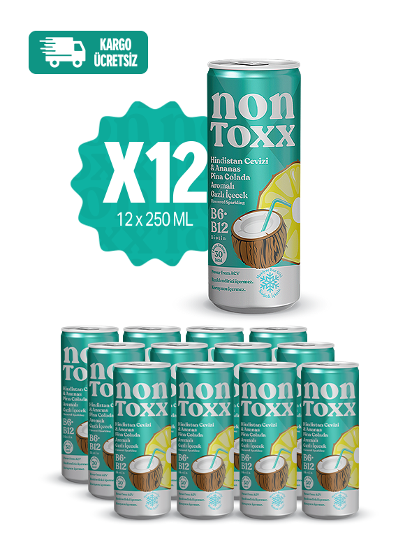 Nontoxx Hindistan Cevizi & Ananas Aromalı Gazlı İçecek 250 ML