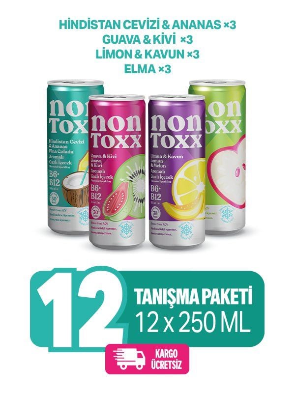 Nontoxx Tanışma Paketi 250 ML x 12 Adet