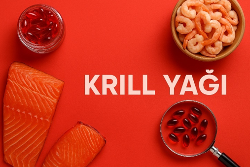 Krill Yağı