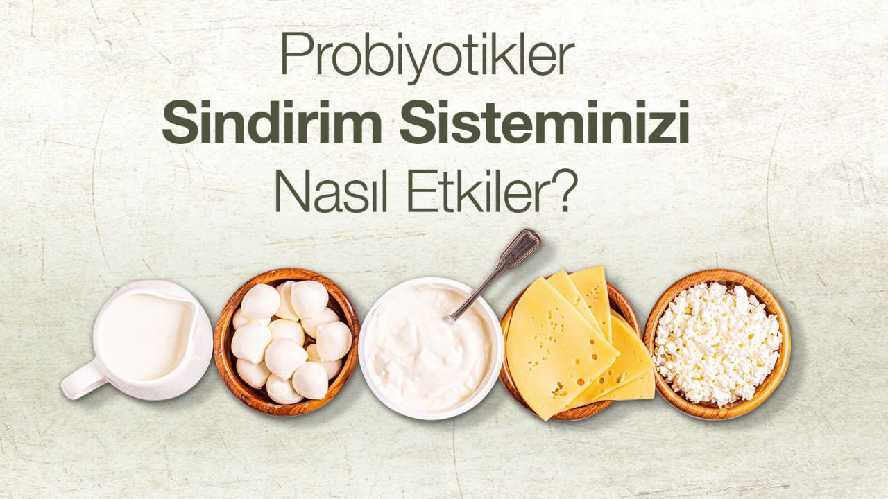 Probiyotikler ve Sindirim Sağlığı: Bağışıklık Sistemine Etkileri