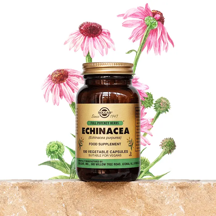 Solgar Echinacea 520 mg 100 Kapsül - (SKT: 11/2028)