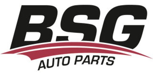 Bsg