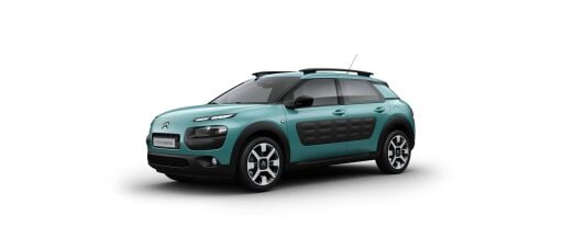 C4 Cactus