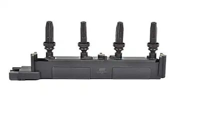 Atesleme Bobini - Bsg (BSG 70-835-005)