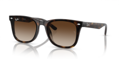 RAY-BAN RB4420 710/13 65 GÜNEŞ GÖZLÜĞÜ