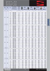 25 x 102 Mavi Yay
