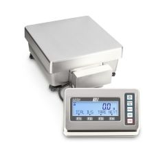Kern Precision Balance  | FEJ 62K-4DM