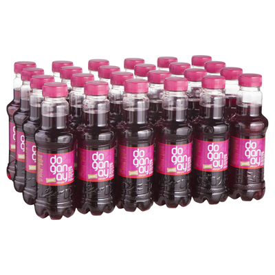 DOĞANAY Şalgam Suyu 24 X 300 ml