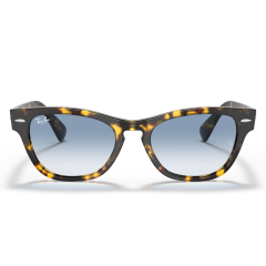 Ray-Ban Rb 2201 13323F 54  Güneş Gözlüğü