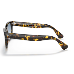 Ray-Ban Rb 2201 13323F 54  Güneş Gözlüğü