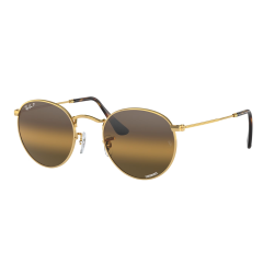 Ray-Ban Rb 3447 001/G5 50  Güneş Gözlüğü