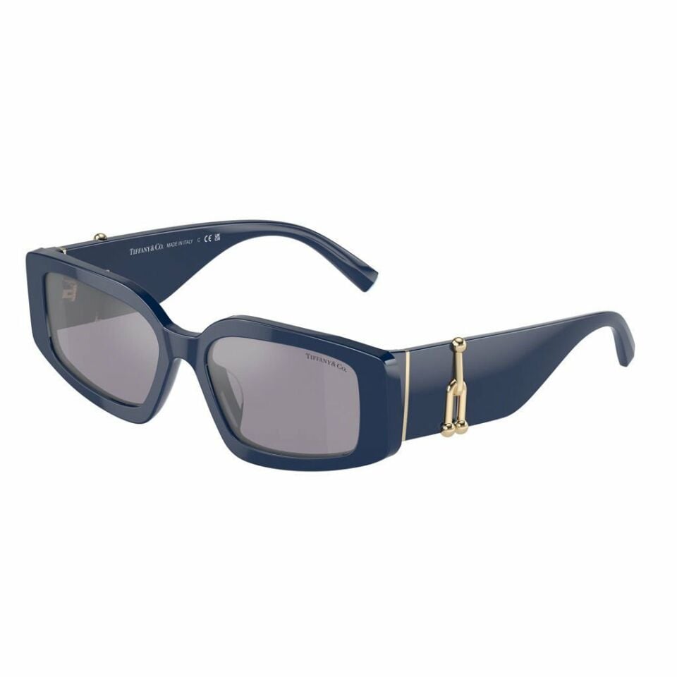 Tiffany Co TF 4208U 83852S 54  Güneş Gözlüğü