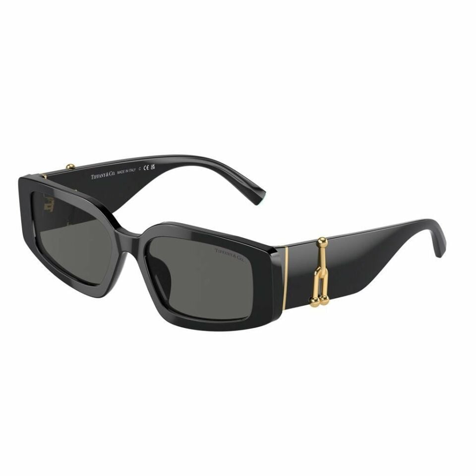 Tiffany Co TF 4208U 8001S4 54  Güneş Gözlüğü