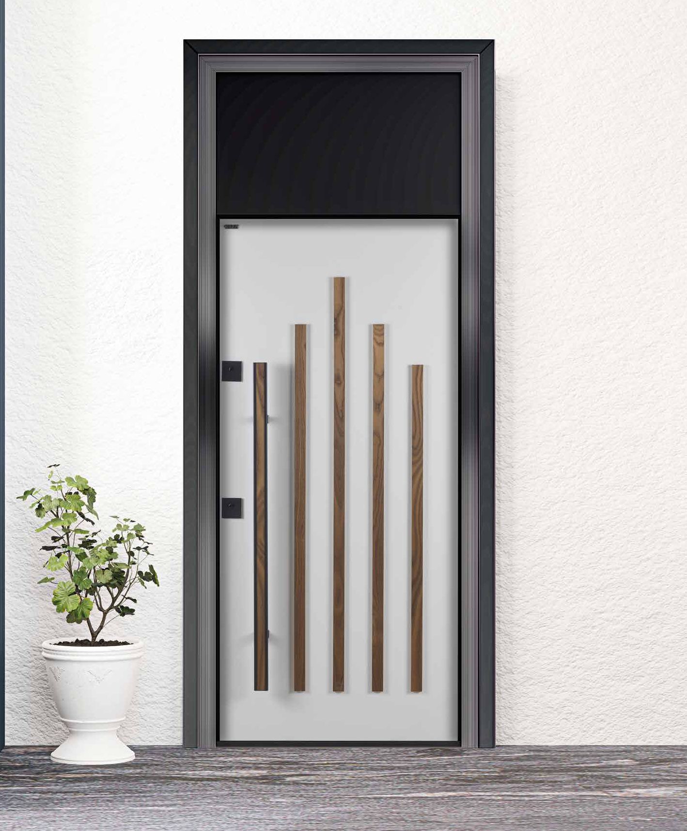 Exen Steel Door