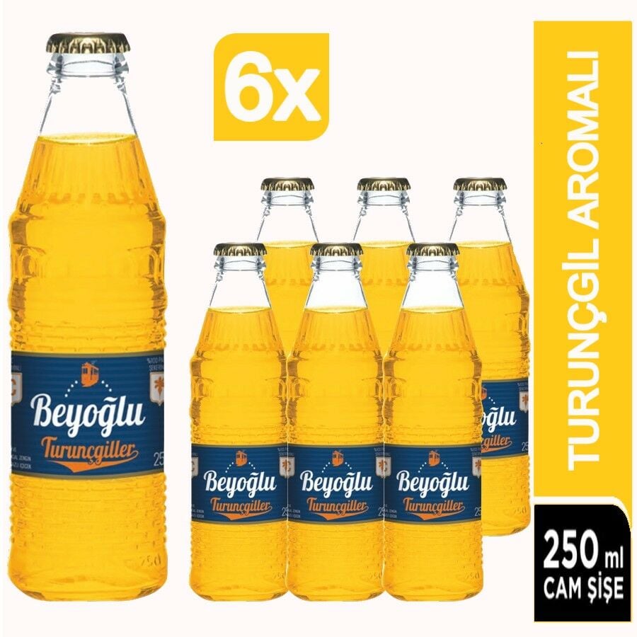 Beyoğlu Turunçgiller Meyve Aromalı Gazlı İçecek 6X250 Ml