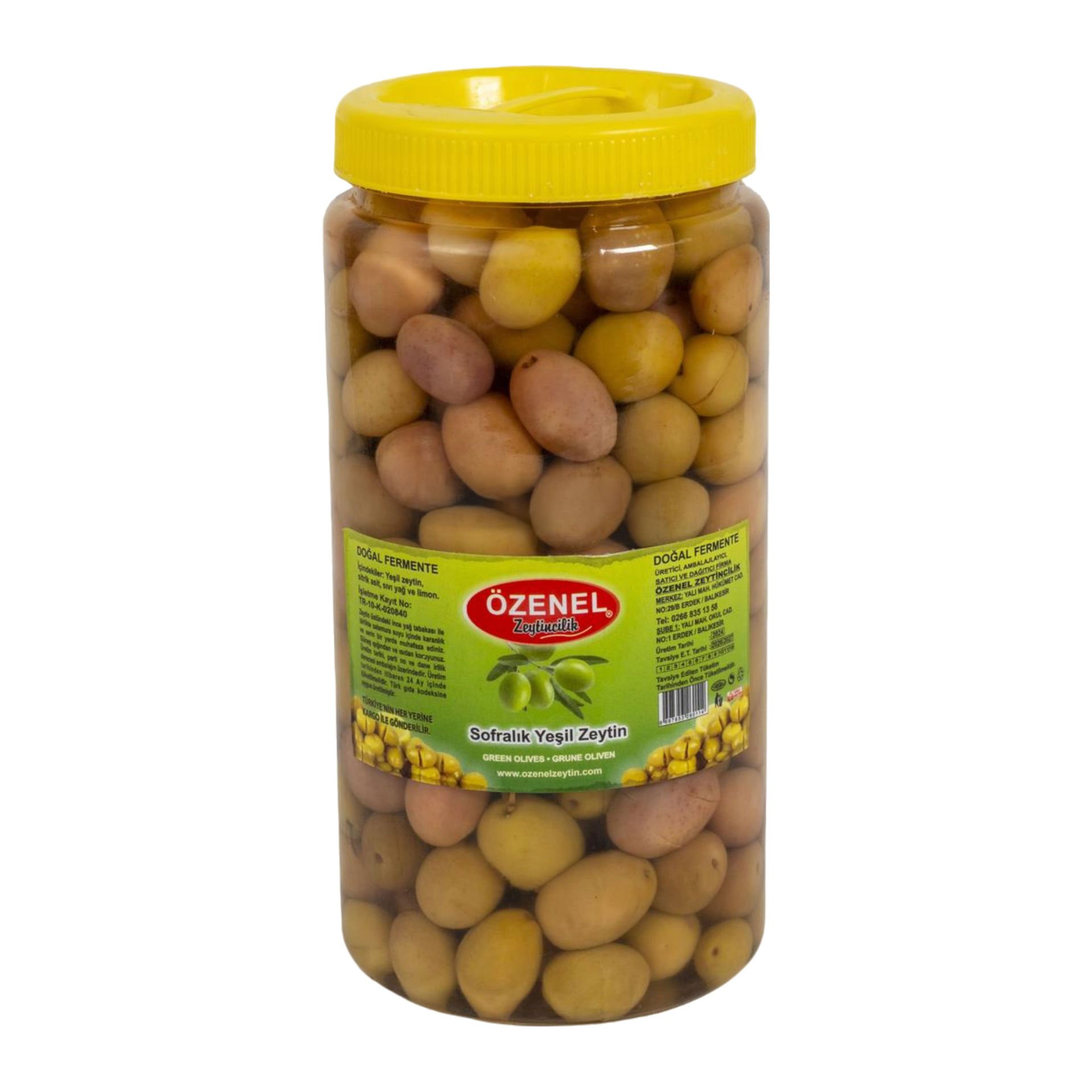 Yeşil Zeytin - Domat
