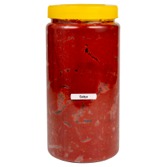 Salça ( El Yapımı ) Biber Tatlı 1kg