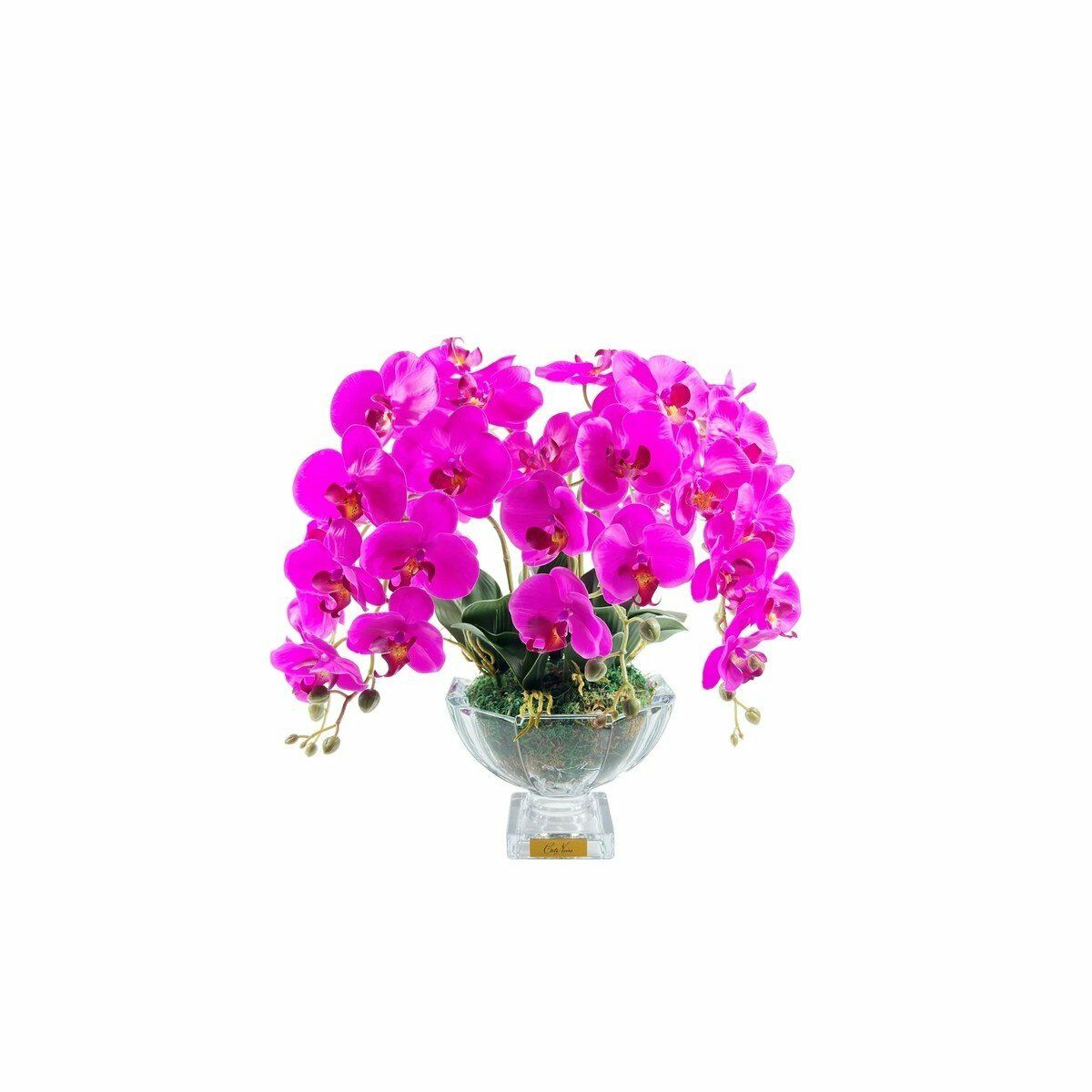 COTENOIRE LUXURY CENTERPIECE MOR ORKİDE KOKU