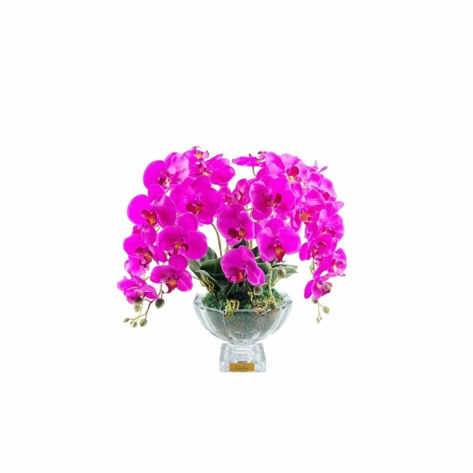 COTENOIRE LUXURY CENTERPIECE MOR ORKİDE KOKU