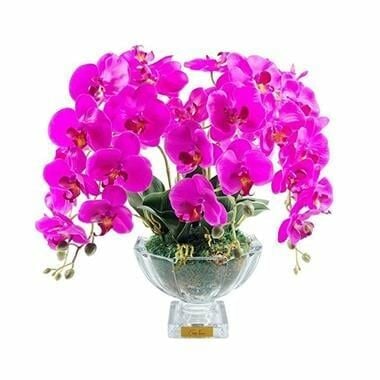 COTENOIRE LUXURY CENTERPIECE MOR ORKİDE KOKU