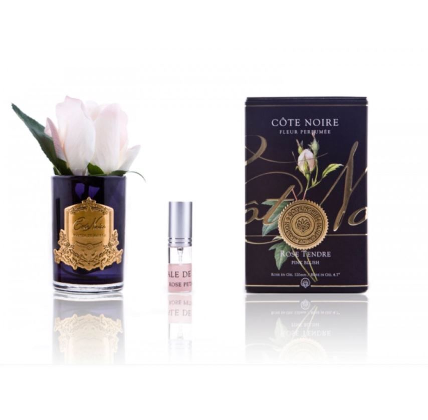 Cote Noire - Tek Güllü Beyaz Pembe Koku