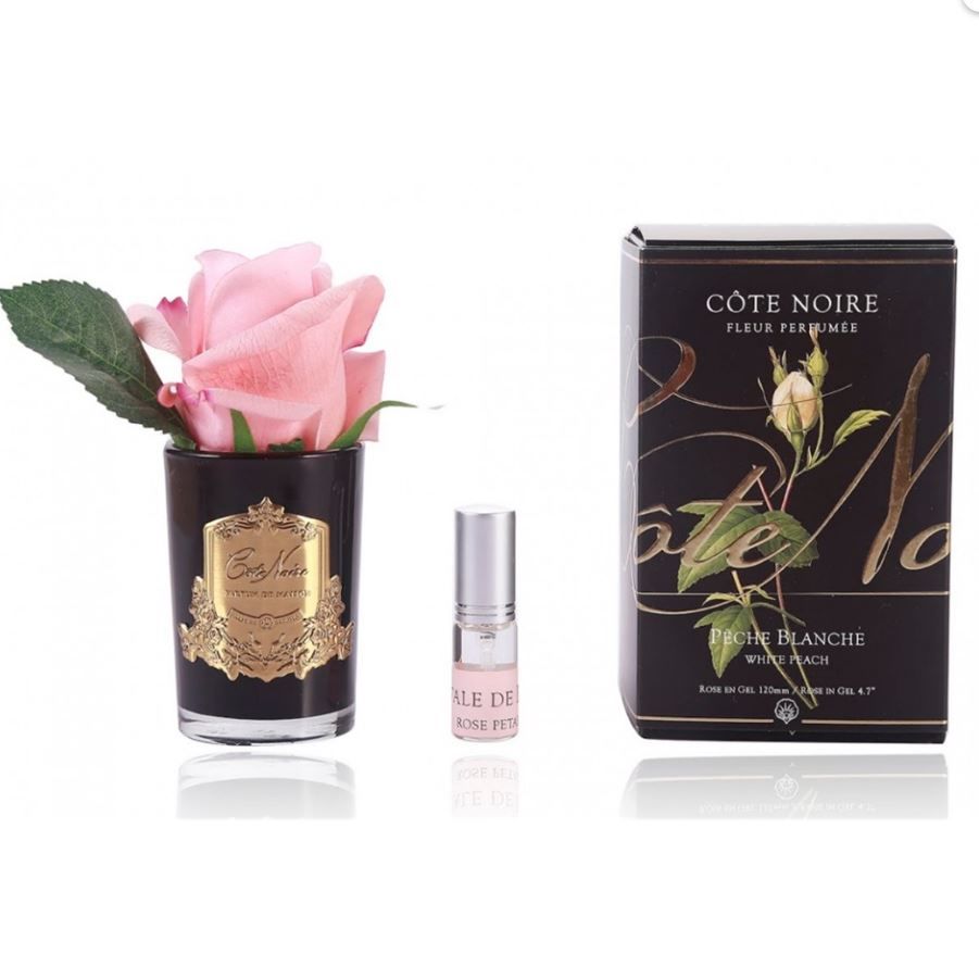 Cote Noire - Tek Güllü Nar Çiçeği Koku