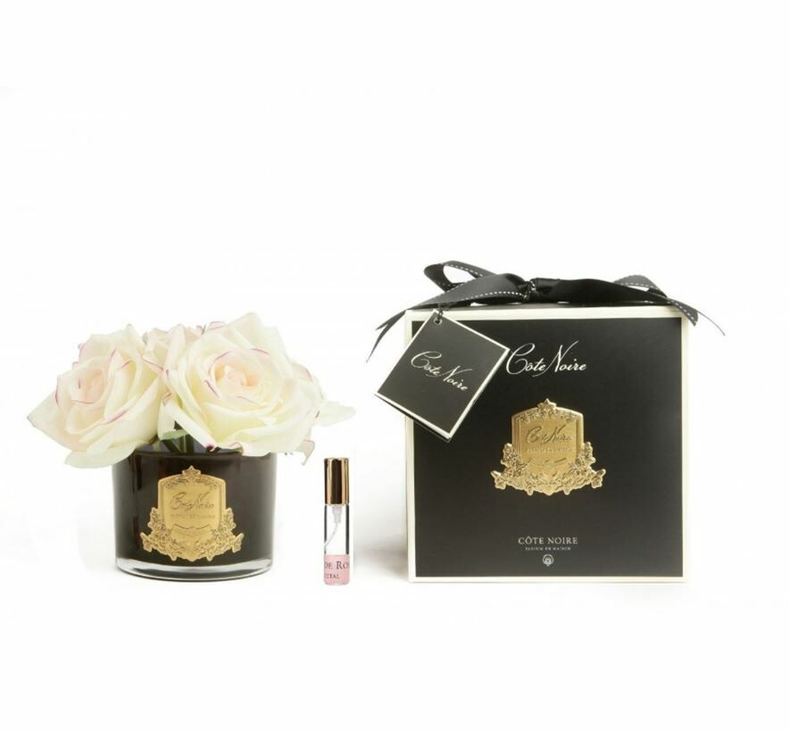 Cote Noire - 5 Güllü Ekru Koku