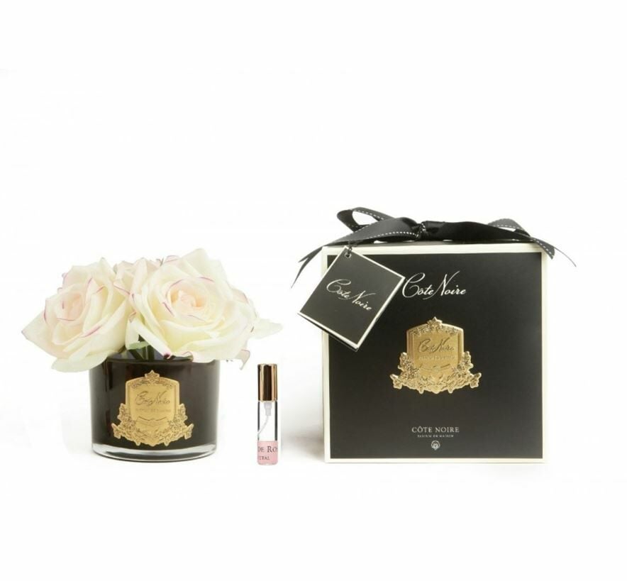 Cote Noire - 5 Güllü Ekru Koku