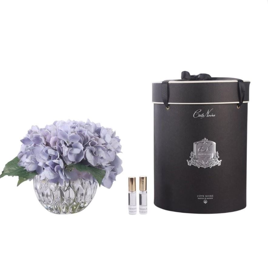 Cote Noire - Luxury Range Hydrangea'S Mavi Koku