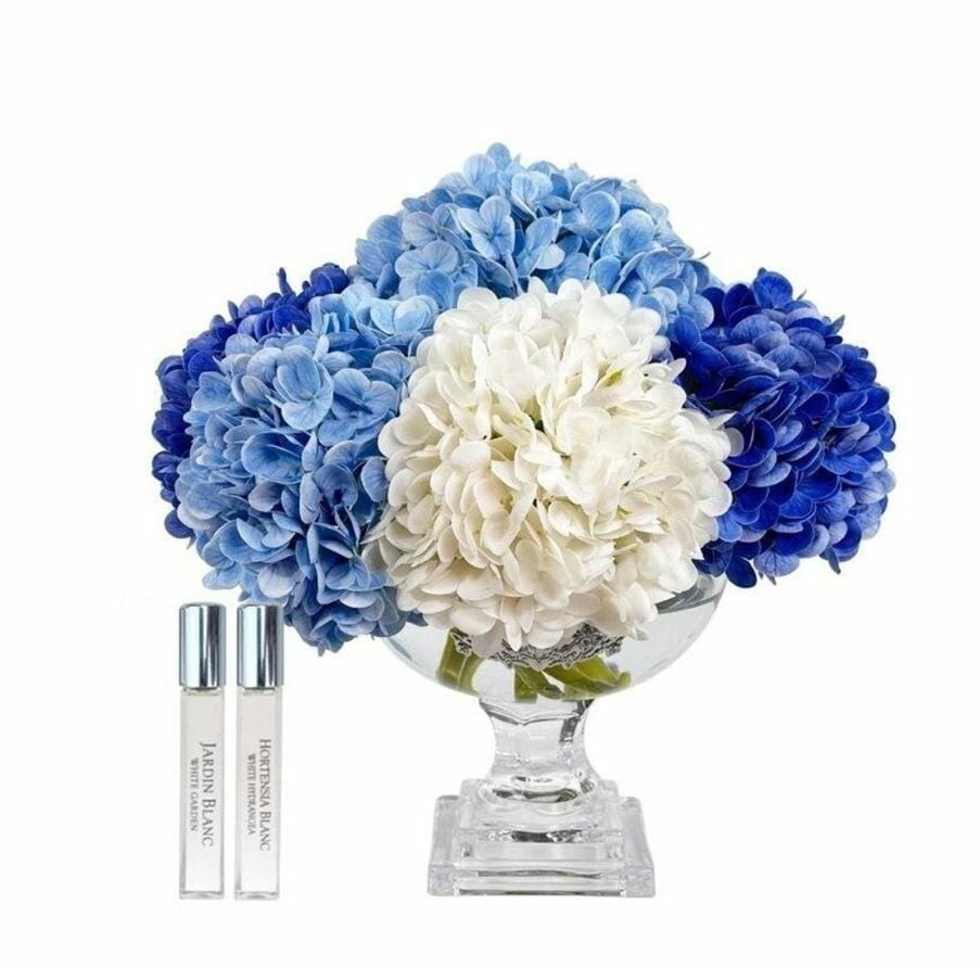 Cote Noire - Provence Mavi & Silver Ortanca Koku M