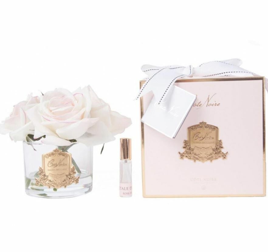 COTENOIRE 5 GÜLLÜ EKRU GOLD KOKU