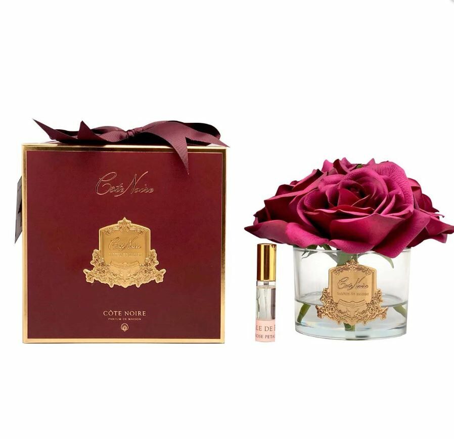 COTENOIRE 5 GÜLLÜ KIRMIZI GOLD KOKU