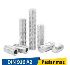 Norm M5x25 İnox Setskur Civata Dın 916