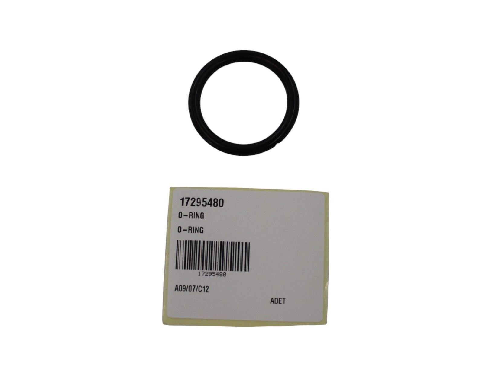 17295480 O-RING Teps by Temsa