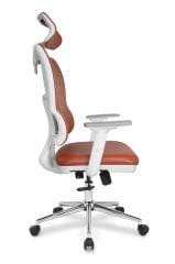 JUMBO MÜDÜR KOLTUĞU