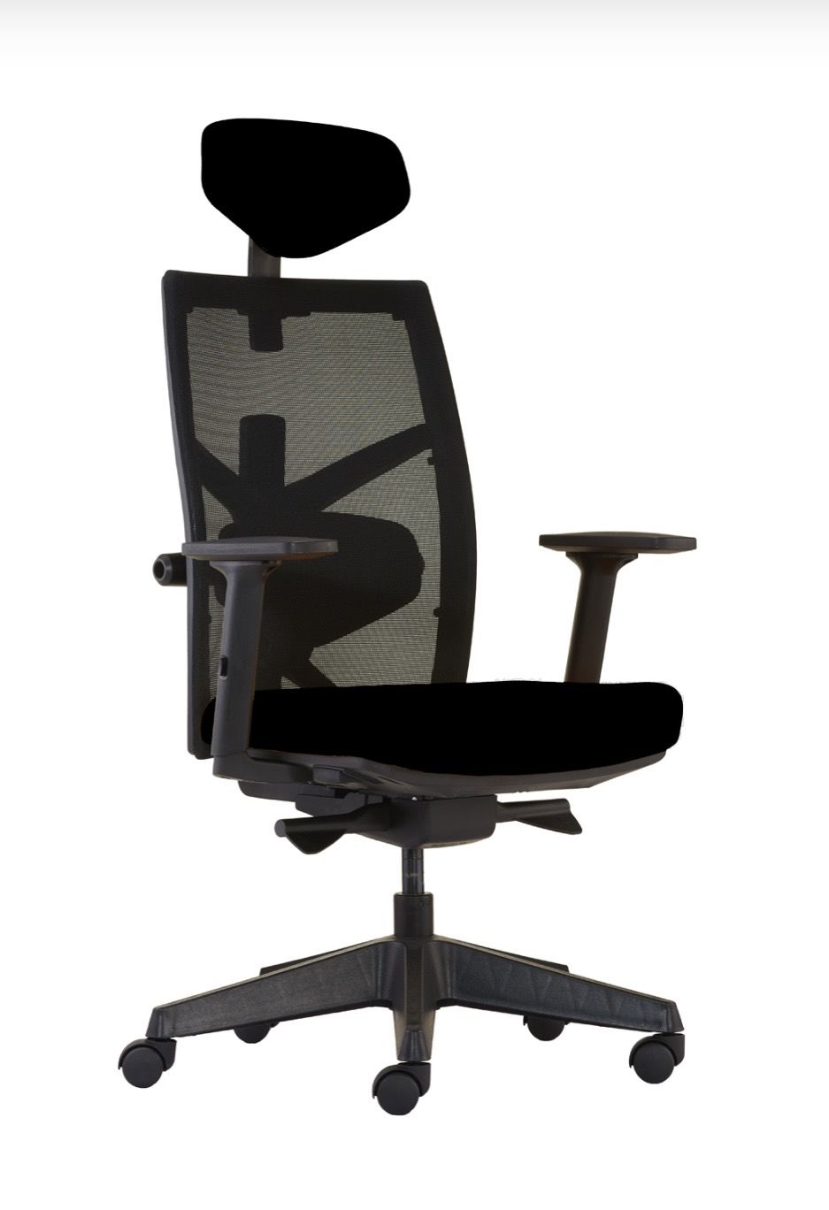 TUNE MÜDÜR KOLTUĞU