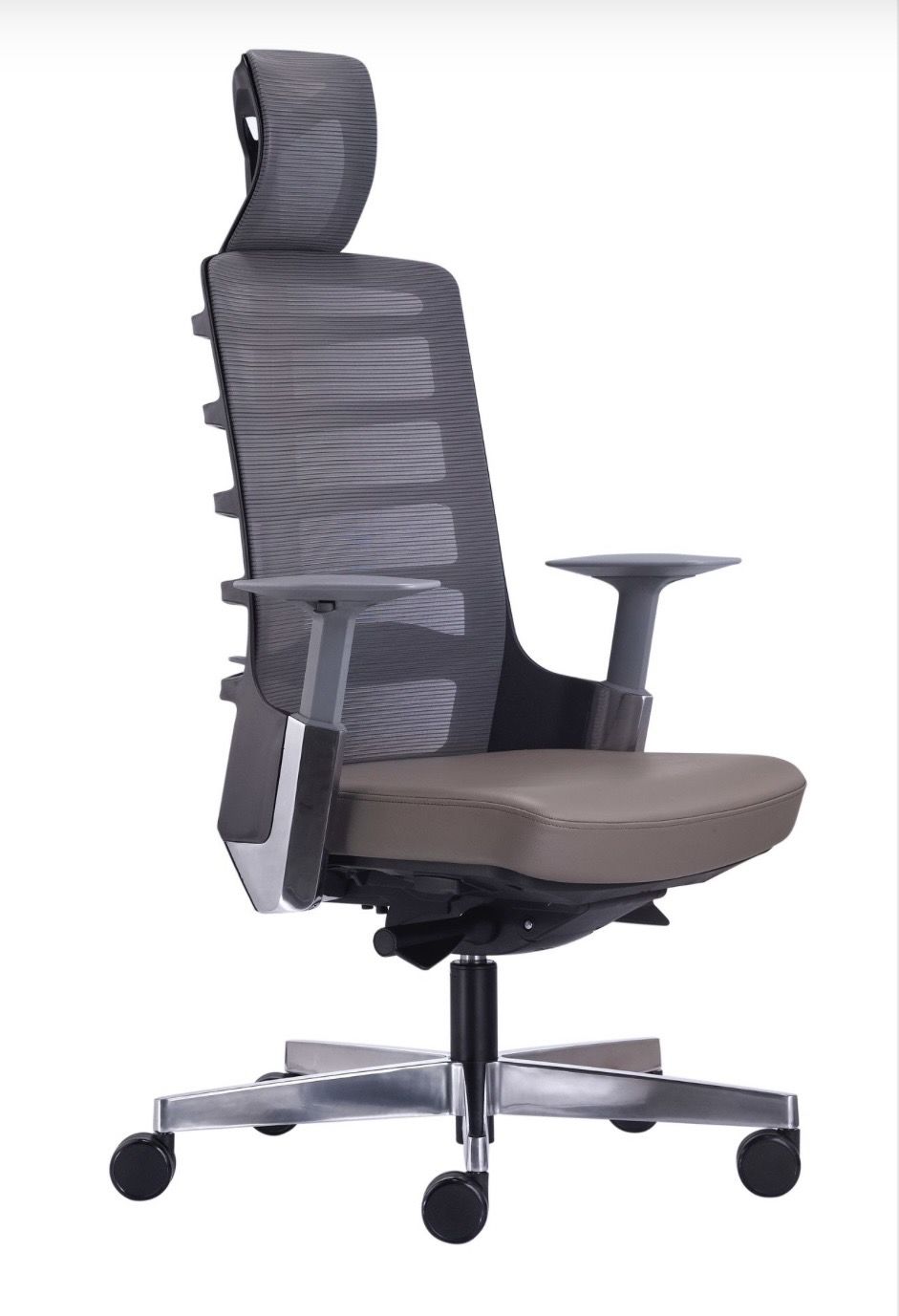 SPİNE MÜDÜR KOLTUĞU