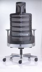 SPİNE MÜDÜR KOLTUĞU