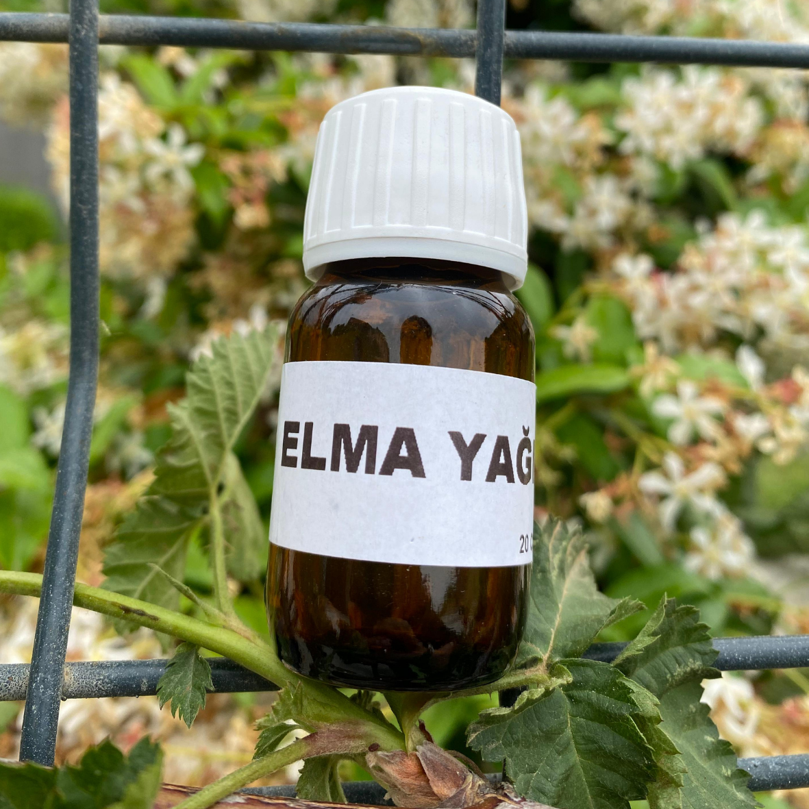 ELMA YAĞI (20cc)