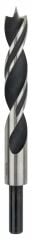 Bosch - Ahşap Matkap Ucu 16*160 mm