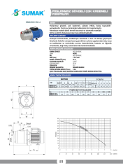 Sumak SMINOX/150-4 Yatay Kademeli Paslanmaz Pompa 1.5 HP 220V